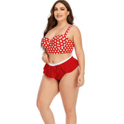 Large Plus Size Swimwear